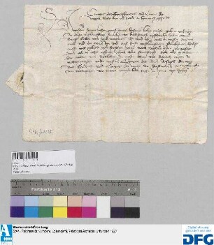 Cunrad d.Ä., Ffriderich und Cunrat d.J. Schencken und Herrn zu Lympurg, Brüder, sagen für die Nürnberger Kaufmannschaft zur Frankfurter Herbstmesse Geleit zu. - Siegler: Cunrat d.Ä.