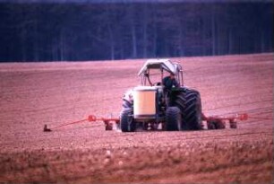 Fotografie: Säverfahren, Einzelkornsaat, Zuckerrübe, Bandspritzung
