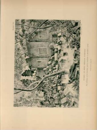 Ruines de Beng-Méaléa (Cambodge)