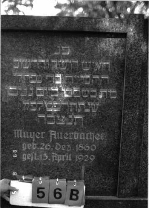 Grabstein 56 (Index: 100105511) Material: Granit Zustand: gut Maße HxBxT: 125x139x16 cm Beschreibung: Stele, breit, in der Mitte durch erhabene Pfeiler getrennt, getreppter Sockel, Abdeckplatte Besonderheit: Doppelgrab für Eheleute; - Gedenkinschrift: Judith Auerbacher wurde in Stettin beerdigt: Grabstein 56B