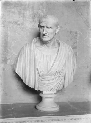 Büste eines Römers, sog. Marius