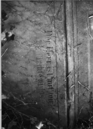Grabstein 255 (Index: 100085153) Maße HxBxT: 202x60x38 cm Beschreibung: Stele, profiliert. Sockel, Aufsatz, Schrift eingetieft m. eingezog. Rundbogenabschl.: Grabstein 255B (Detailaufnahme 2)