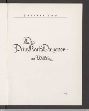 Zweites Buch - Die Prinz-Karl-Dragoner im Weltkrieg