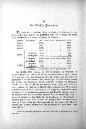XI. Die städtische Irrenpflege