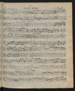 Tab. XXII