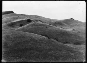 Hügellandschaft auf Hiddensee