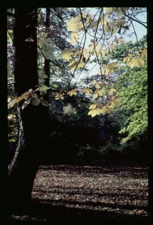 Park Glienicke 23.10.65.