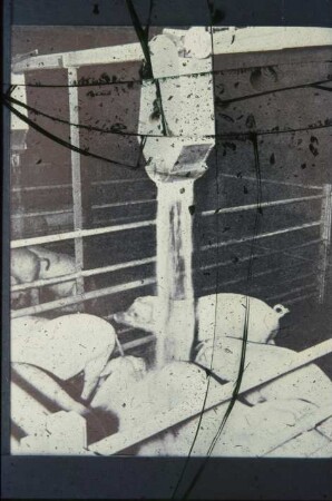 Fotografie: Fütterungstechnik, Mastschwein, Kraftfutterautomat, Dosiereinrichtung