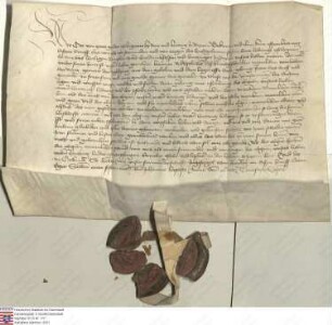 Otto (Ott) Pfalzgraf bei Rhein (Rine) und Herzog in Bayern (Beyern) leiht als Vormund Ludwigs, Pfalzgrafen bei Rhein, des heiligen Römischen Reich...