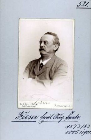 Fieser, Emil August Friedrich, Nationalliberale
