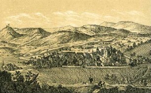 Ansicht der Stadt Thiengen nach einem Stiche des J. H. Mejer von Winterthur