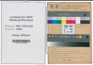 Entnazifizierung Wilhelm Friese , geb. 13.08.1887 (Haendler)