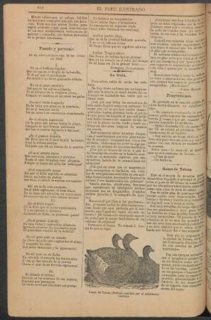 Pasado y porvenir. : En el aniversario del 16 de Julio de 1809.