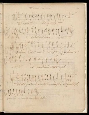 8. Magnificat Octavus Tonus