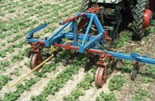 Fotografie: Pflegegerät, Hackmaschine, Zuckerrübe, Spurführungssystem, Frontanbau