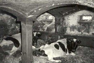 Alter Stall in Kreckwitz : Bauwesen - Wirtschaftsgebäude und Gehöfte. Ort: Krakecy / Kreckwitz. Alter Stall