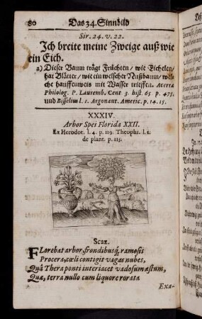 80-100, Das XXXIV. Sinnbild - Das XLII. Sinnbild