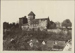 Rieneck mit der Burg (um 1150)