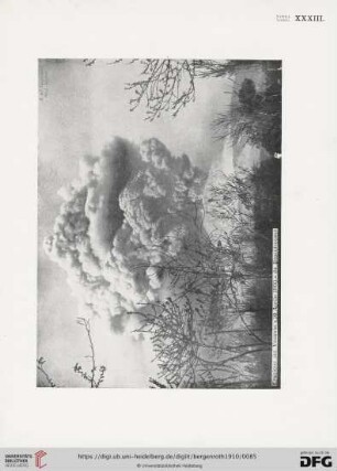 XXXIII.-XXXIV. Napoli. Vesuvio