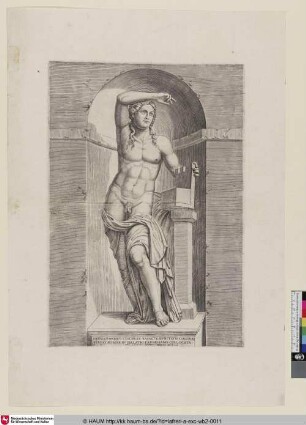 Hermaphroditi [Apollo Farnese]