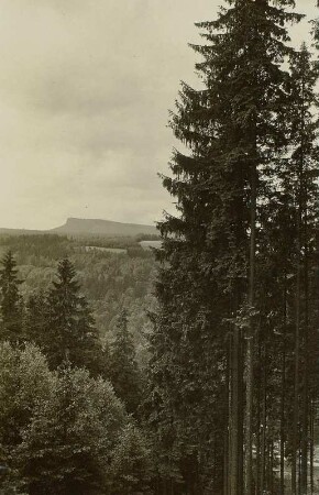 Elbsandsteingebirge. Großer Zschirnstein, vom Aufstieg zum Winterberg gesehen
