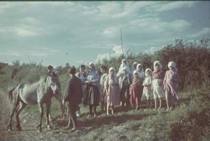Zweiter Weltkrieg. Sowjetunion. Zur Einquartierung (wahrscheinlich in der Ukraine). Einheimische Bauernmädchen mit zwei deutschen Wehrmachtssoldaten und einem Pferd
