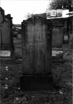 Grabstein 253 (Index: 99798680) Material: Kunststein Zustand: leicht verwitter Maße HxBxT: 128x50x15 cm Beschreibung: Stele mit doppelt eingezogenem Bogenabschluß, Sockel: Grabstein 253