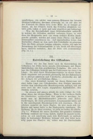 III. Entwickelung des Giftzahnes