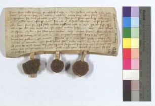[Text = U / 1328 Februar 4]. Mit Eid besagt vor Salmannus, Kämmerer, und Richter Scherpelinus. "1328 feria quarta ante Penthecostes."