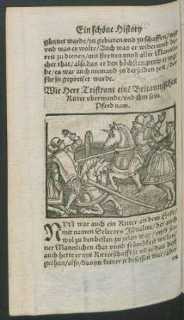 Wie Herr Tristrant einen Britannischen Ritter uberwande/ und ihm sein Pferd nam.