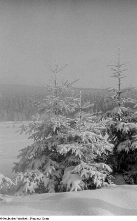 Winterlandschaft