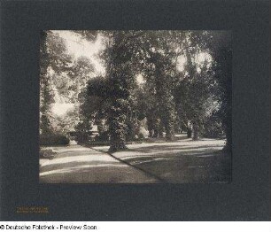Foto, Del Monte