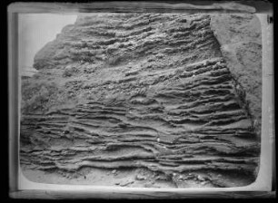 Zeitz-Altenburger Platte. Kreuzgeschichtete altpleistozäne Flußkiese der Pleiße, vom Wind bearbeitet. Bei Goldschau nördlich Gößnitz