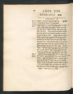 Liber Jobi, Hebraice [...] Caput 1. - 42.