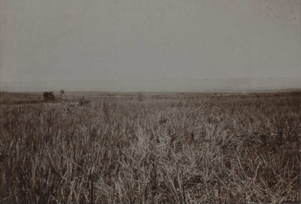 Uha landscape - mountain ridge near Kassulo