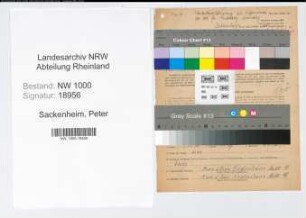 Entnazifizierung Peter Sackenheim, geb. 05.08.1897 (Kuefermeister)