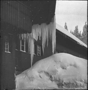 In Feldberg