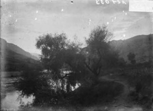 Am Fluss : Ein Baum in einem Flusstal bei Sonnenuntergang