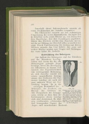 Abb. 183.