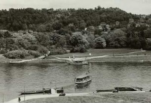 Dresden-Pillnitz. Fährstelle Kleinzschachwitz-Pillnitz vom Turm des Kleinzschachwitzer Fährhauses nach Norden : Dresden-Kleinzschachwitz, Fährstelle, Motorfährboot