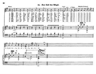 Das Lied der Vögel