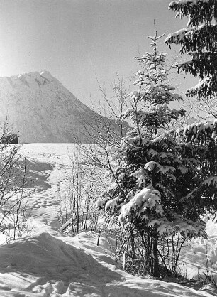 Winterlandschaft