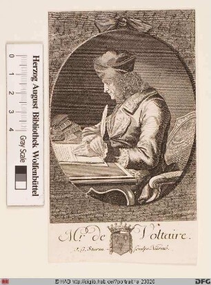 Bildnis Voltaire (eig. François-Marie Arouet)