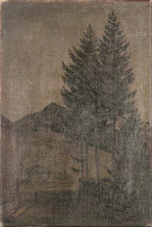 Föhren in den Bergen