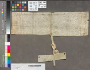 Testamentum vicarii Bernardi Bueren.