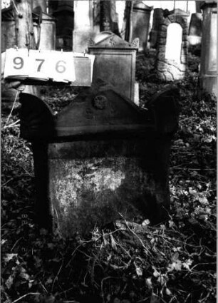 Grabstein 976 (Index: 99804024) Material: Sandstein Zustand: völlig verwittert Maße HxBxT: 72x60x20 cm Beschreibung: Stele mit verdachtem Giebel, Seitenakroterien Symbolik: Akroterien mit floraler Ornamentik, Rosette: Grabstein 976