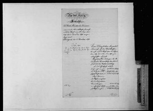 Berichte (1890-1894)