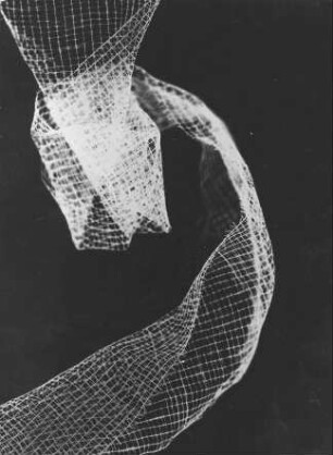 Fotogramm. 46,6 x 35,4 cm (Blattgröße), 23 x 17,3 cm (Bildgröße). 1962
