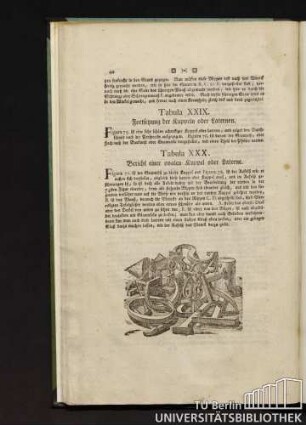 Tabula XXIX. Fortsetzung der Kuppeln oder Laternen.