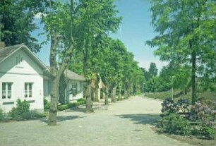 Bürgerpark / Exer: bei Trave-Ufer: vorne links Jugendherberge: Bildmitte Promenade mit Baumreihe: hinten rechts Böschung zu Konrad-Adenauer-Ring